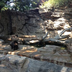 8/24/2014 - Grizzly Bear Grotto