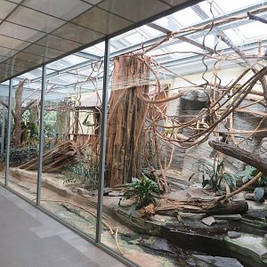 Vivarium - squirrel monkey exhibit