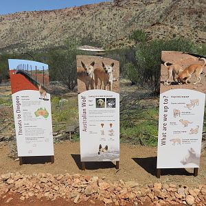 Dingo Signage, Alice Springs Desert Park