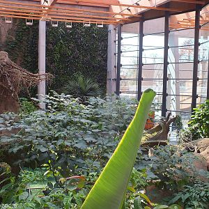 View into Congo Section - Afrykarium