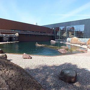 Fur Seal Enclosure - Outdoor part of Afrykarium