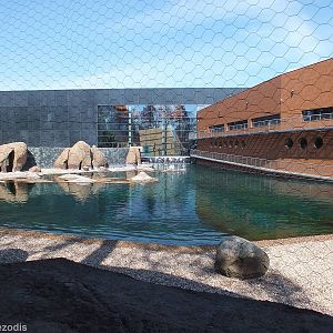 African Penguin and Cape Shelduck Enclosure- Outdoor part of Afrykarium