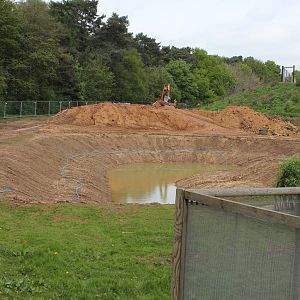 Giant otter enclosure 10-5-15