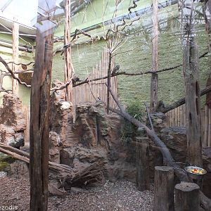 Bamboo Lemur Enclosure