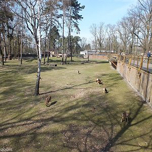 Enclosure for Mouflons and Barbary Macaques