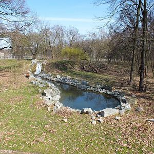 Brown Bear Enclosure