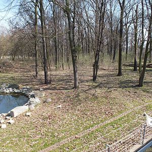 Brown Bear Enclosure