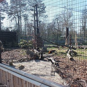 Enclosure For Red Junglefowl