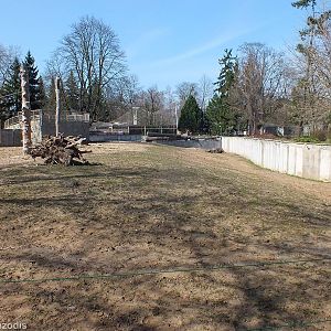 Indian Rhino Outdoor Paddock