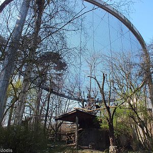 Birds of Prey Aviary