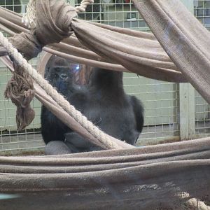 Kumbuku reflects on fatherhood