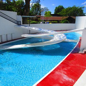 Penguin Pool Fountain