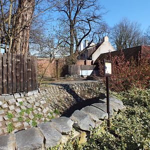Chacoan Peccary Enclosure