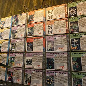 Signage in Butterfly Walk-through