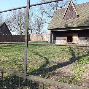 Enclosure for Alfred's Spotted Deer