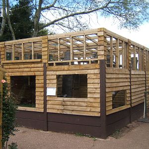 View of finished Raccoon enclosure