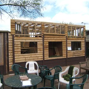 View of finished Raccoon enclosure