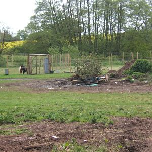 View of the future expansion site