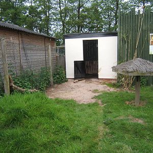 New Sulcatta House and enclosure