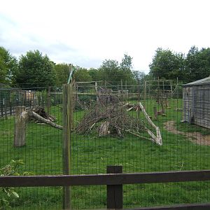 Muntjac and lemur enclosure