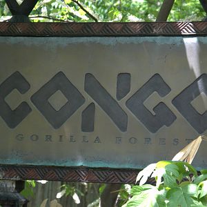 Congo Gorilla Forest Sign