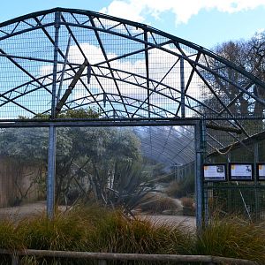 Waders Aviary
