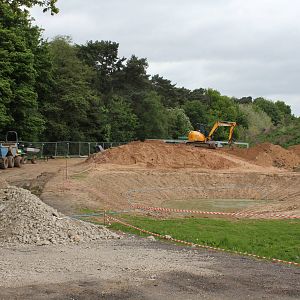Giant otter enclosure 17-5-15
