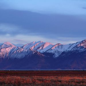 Alpineglow on the Kenai Mountians