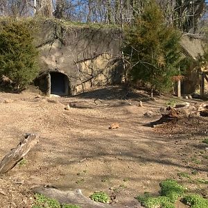 Prarie Dog Exhibit