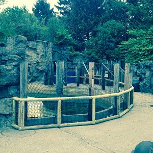 New Pinniped fencing.