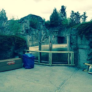 New Pinniped fencing.