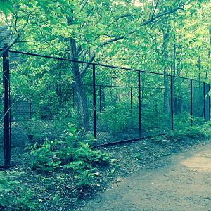 Habitat Africa! The Forest. New duiker exhibit.