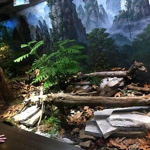 Saint Louis Zoo: Reptile House