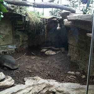Saint Louis Zoo: Reptile House