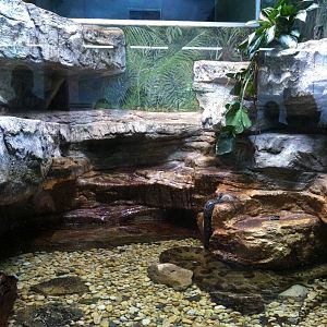 Saint Louis Zoo: Reptile House