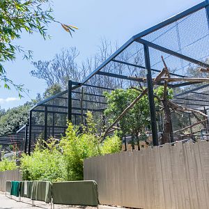 Finishing touches on the leopard exhibits