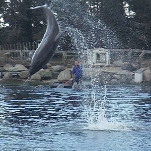 Skinny - 53 years old!