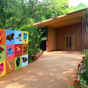 Australian Outback - Koala house