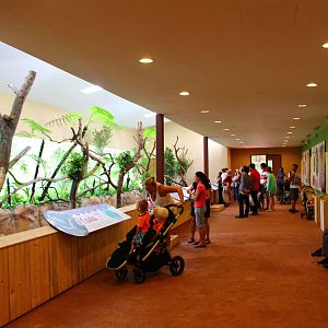 Australian Outback - Koala house