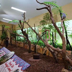 Australian Outback - Koala house