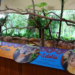 Australian Outback - Koala house