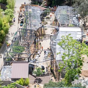 Aerial view of leopard exhibit