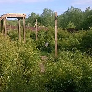 New look tiger enclosure