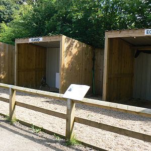 York Bird Of Prey Centre