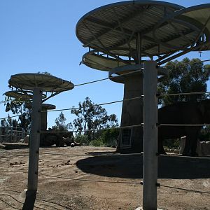 Asian Elephant Enclosure