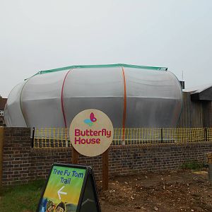 Butterfly House - 23/05/2015