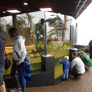 Butterfly House - 23/05/2015