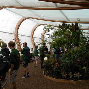 Butterfly House - 23/05/2015