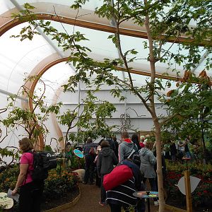 Butterfly House - 23/05/2015