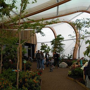 Butterfly House - 23/05/2015